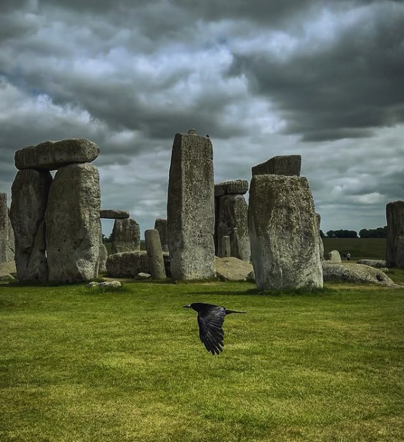 A jackdaw in flight past the Stonehenge trilithons under storm cloud